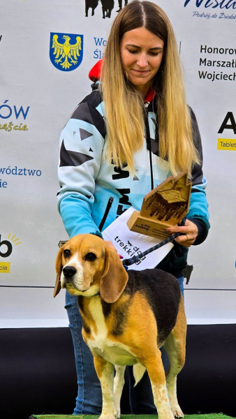Ponad 220 zawodników na finale Pucharu Polski w dogtrekkingu w Złotym Stoku