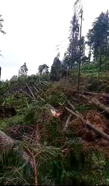 Komunikat Lasy Państwowe Nadleśnictwo Jugów