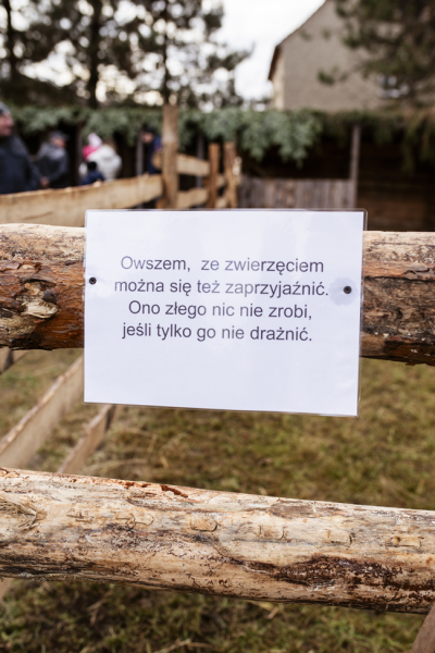 Żywa szopka bożonarodzeniowa w Starczowie