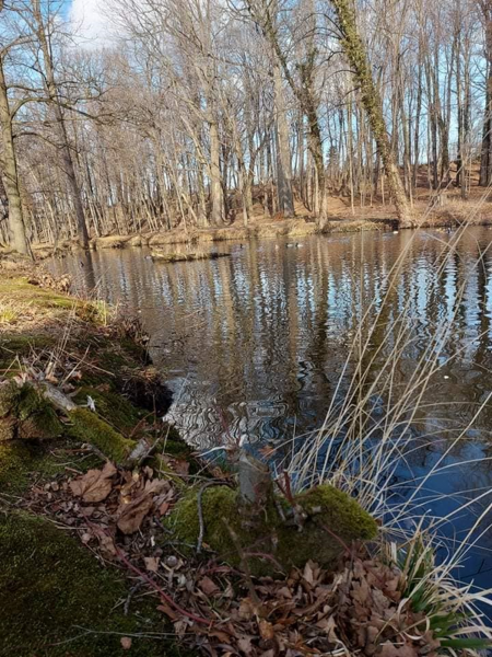 Akty wandalizmu na terenie kompleksu pałacowo-parkowego