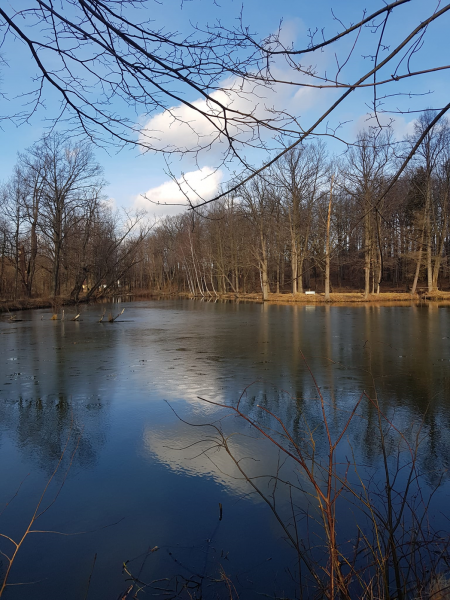 Akty wandalizmu na terenie kompleksu pałacowo-parkowego