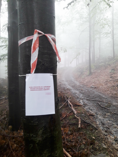 Wieża widokowa na Jaworniku zamknięta. Konieczny remont