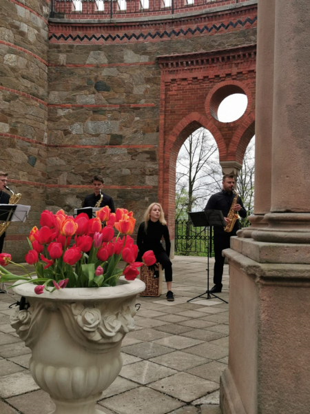 Święto Tulipanów w Kamieńcu Ząbkowickim