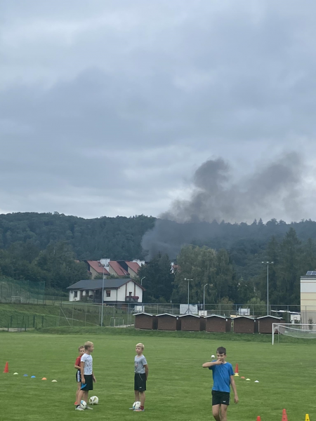 Pożar altany i wiaty ogrodowej w Bardzie 