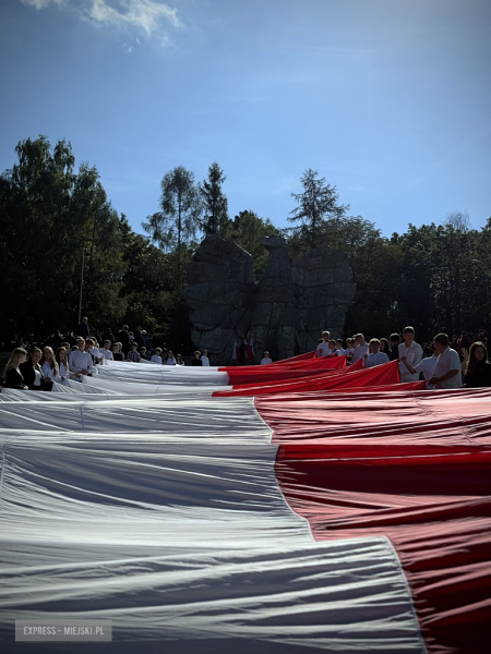 „Ludzkość musi położyć kres wojnie [...]”  Powiatowa Uroczystość Kombatancka w Ziębicach [foto]