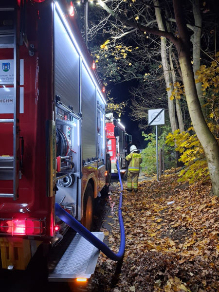 |W Ziębicach spłonął ford transit