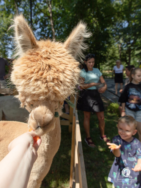 Piknik integracyjny w Parku Sybiraków