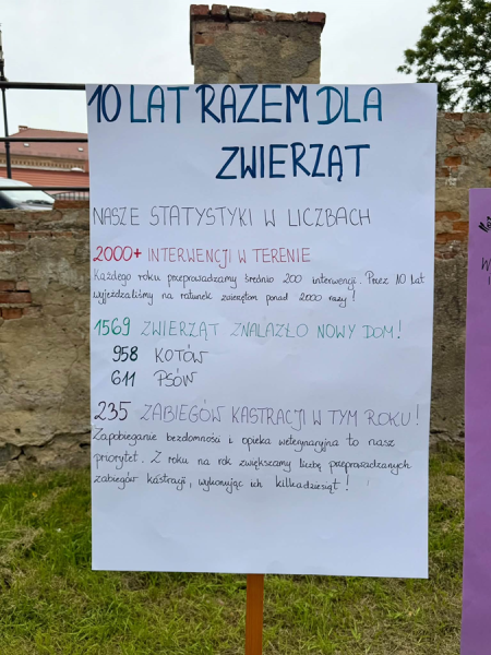 „Festyn dla Psiaka i Kociaka” w Ząbkowicach Śląskich. TOZ świętował 10-lecie działalności