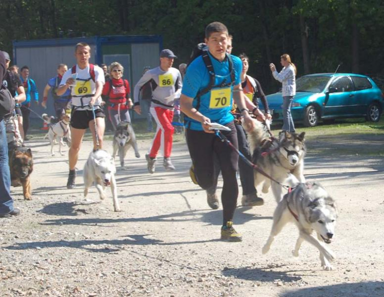 Mistrzostwa Polski w Dogtrekingu