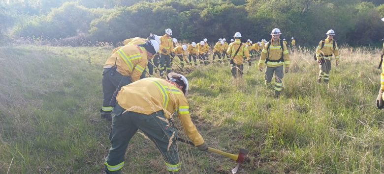 Ćwiczenia specjalistyczne strażaków w Ciepłowodach