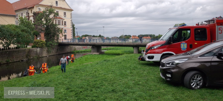 Śnięte ryby w Budzówce. Z wody wyłowiono tysiące martwych ryb. Służby znalazły miejsce wycieku