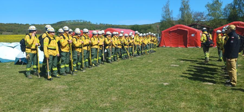 Drugi dzień ćwiczeń GFFF Poland. Strażacy przygotowują się do walki z pożarami lasów