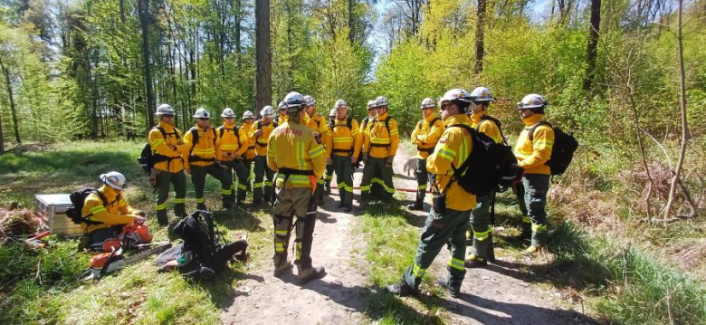 Drugi dzień ćwiczeń GFFF Poland. Strażacy przygotowują się do walki z pożarami lasów