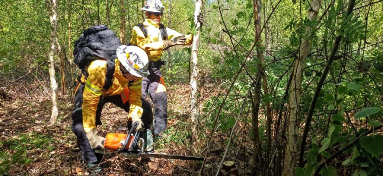 Drugi dzień ćwiczeń GFFF Poland. Strażacy przygotowują się do walki z pożarami lasów
