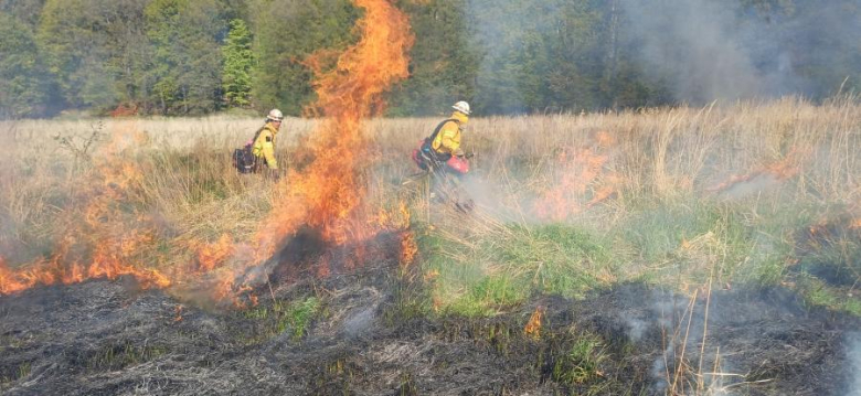 Drugi dzień ćwiczeń GFFF Poland. Strażacy przygotowują się do walki z pożarami lasów