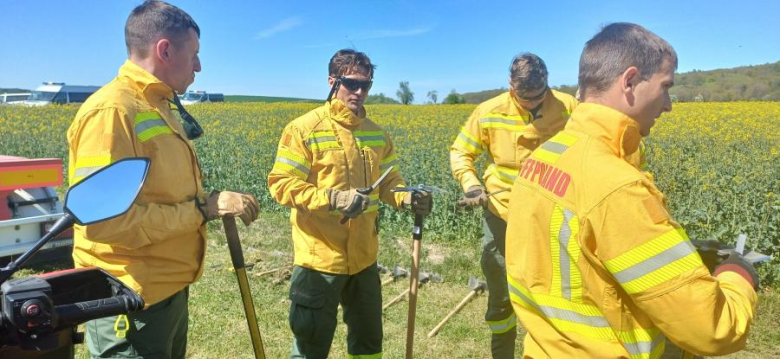 Drugi dzień ćwiczeń GFFF Poland. Strażacy przygotowują się do walki z pożarami lasów
