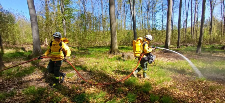 Drugi dzień ćwiczeń GFFF Poland. Strażacy przygotowują się do walki z pożarami lasów