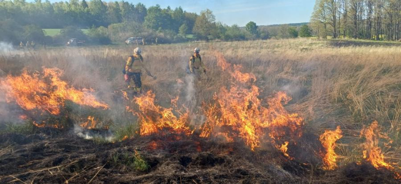 Drugi dzień ćwiczeń GFFF Poland. Strażacy przygotowują się do walki z pożarami lasów