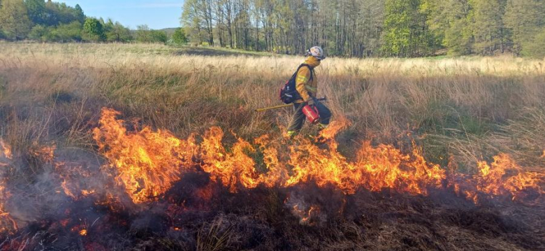 Drugi dzień ćwiczeń GFFF Poland. Strażacy przygotowują się do walki z pożarami lasów