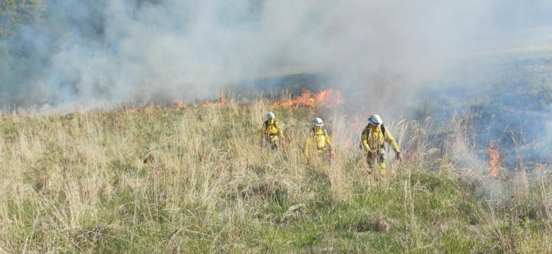 Drugi dzień ćwiczeń GFFF Poland. Strażacy przygotowują się do walki z pożarami lasów