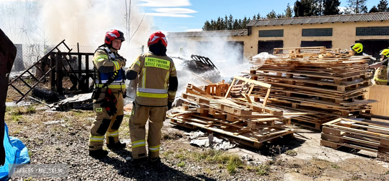 Pożar drewnianych palet przy ul. Waryńskiego. Interweniowało kilka zastępów straży pożarnej