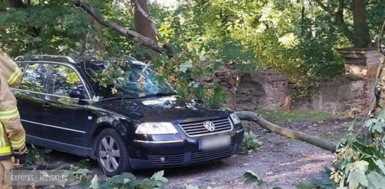 Konar drzewa spadł na samochód osobowy