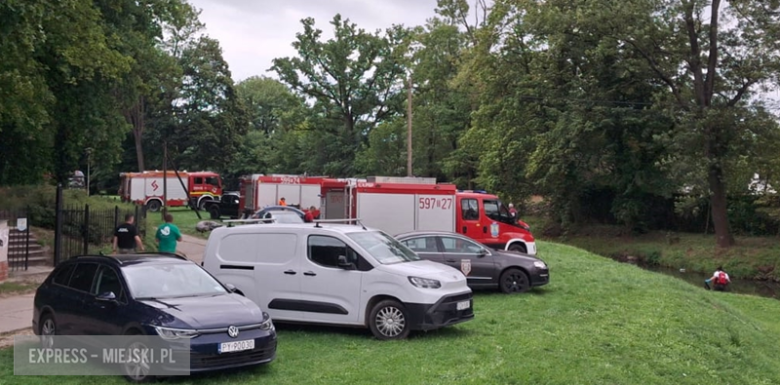 Śnięte ryby w Budzówce. Z wody wyłowiono tysiące martwych ryb. Służby znalazły miejsce wycieku
