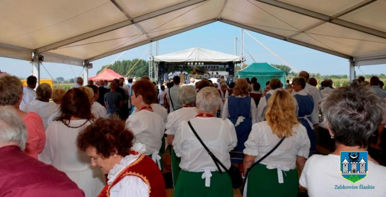 Święto plonów w ząbkowickiej gminie. Organzizatorem tegorocznych dożynek był Jaworek