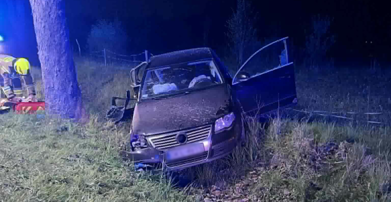 Chcieli ominąć sarnę, uderzyli w drzewo. Dwie osoby w szpitalu