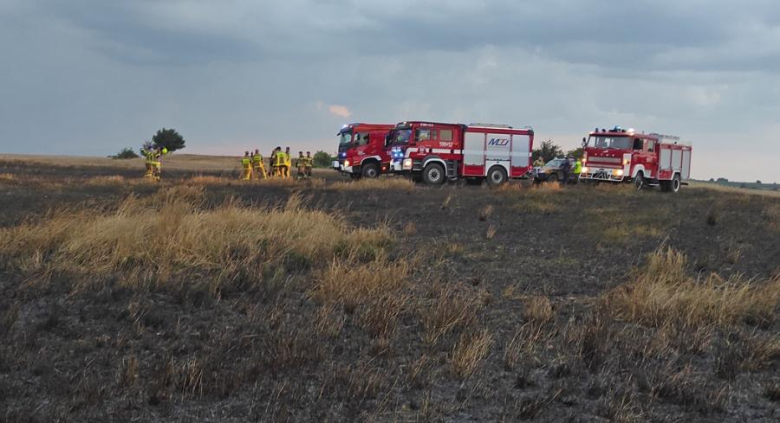 	Pożar zboża w Doboszowicach. Spłonęły około 3 hektary