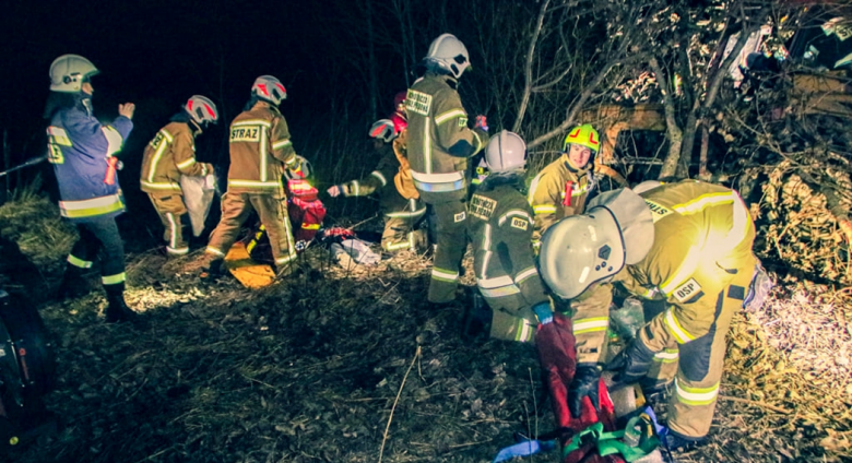 Wypadek podczas wycinki drzew. Kilka osób poszkodowanych [ćwiczenia strażaków]