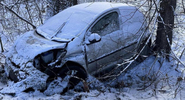 Citroen wypadł z drogi w Kamieńcu Ząbkowickim