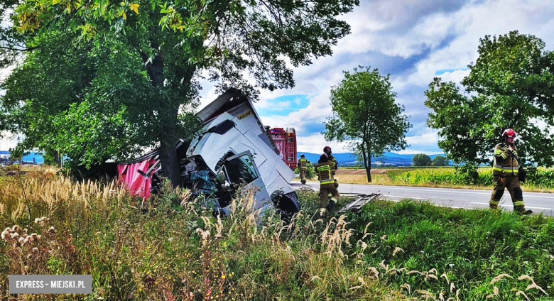 Samochód ciężarowy zjechał z drogi i uderzył w drzewo
