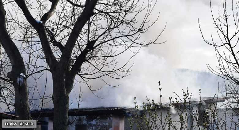 Pożar budynku gospodarczego w Brzeźnicy