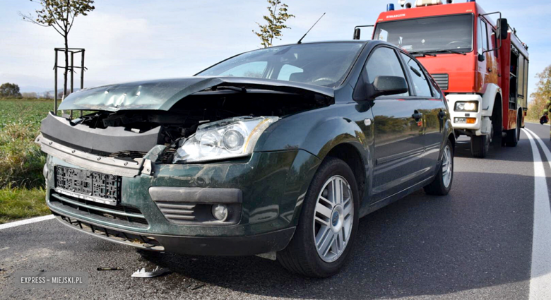 Ze wstępnych ustaleń wynika, że kierowca forda nie zachował należytej ostrożności i wjechał w tył poprzedzającej go dacii