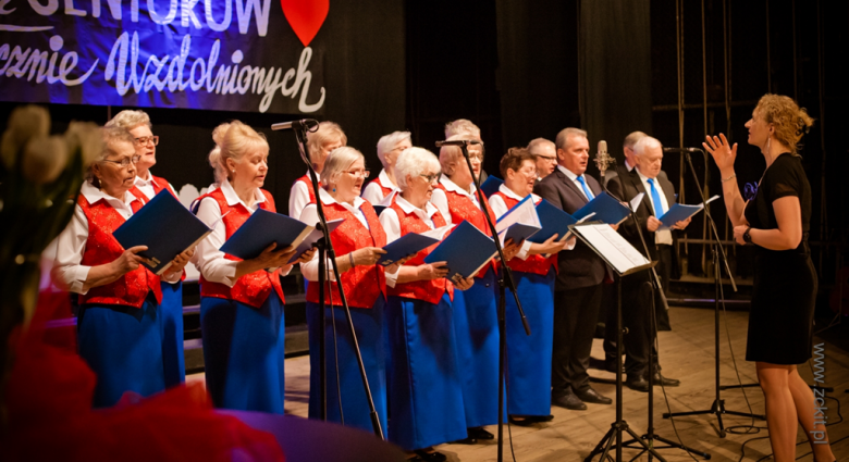 VIII Dolnośląski Przegląd Seniorów Artystycznie Uzdolnionych o Krzywą Wieżę Ząbkowic Śląskich