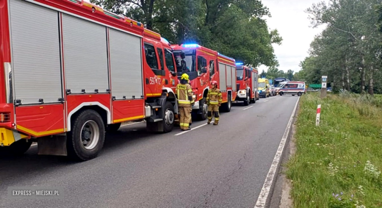 Zjechał z drogi i uderzył w drzewo