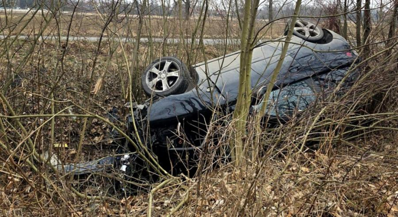 Dachowanie w Henrykowie