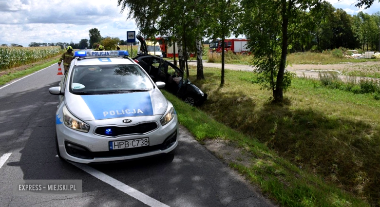 Citroen w rowie między Stoszowicami a Ząbkowicami Śląskimi