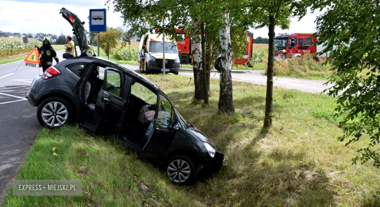 Citroen w rowie między Stoszowicami a Ząbkowicami Śląskimi