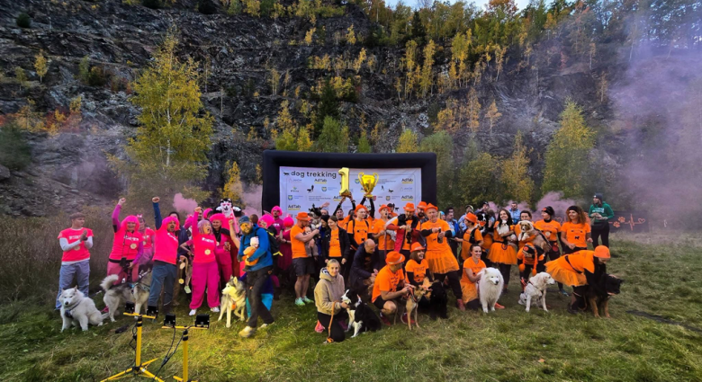 Ponad 220 zawodników na finale Pucharu Polski w dogtrekkingu w Złotym Stoku