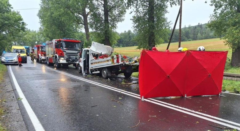 		Drzewo spadło na busa na drodze między Złotym Stokiem a Kłodzkiem. Nie żyje jedna osoba [foto]