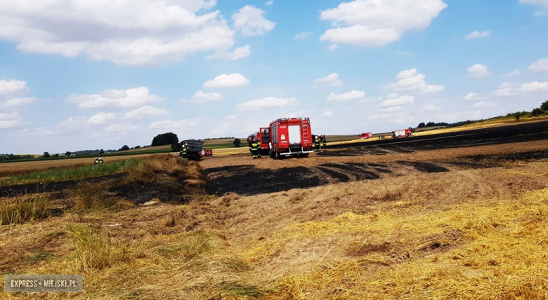 Pożar zboża i ścierniska między Kozińcem a Przedborową