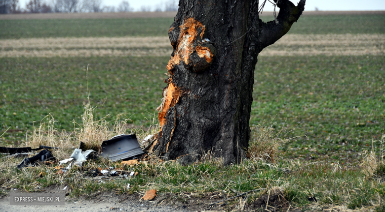 Samochód wypadł z drogi i uderzył w drzewo