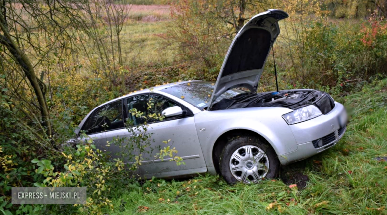 Audi wypadło z drogi i uderzyło w drzewo