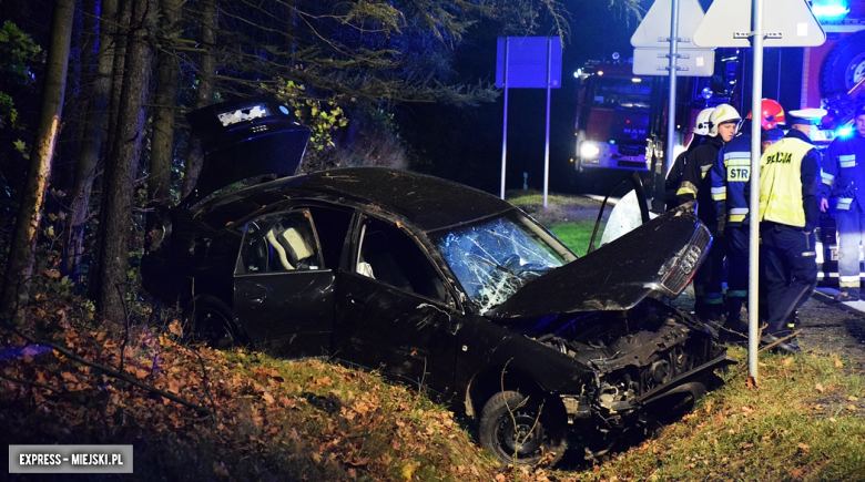 Policyjny pościg za Audi i dachowanie w Dębowinie. W aucie małe dziecko