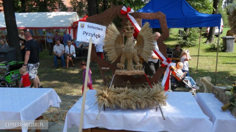 Dożynki w Brzeźnicy