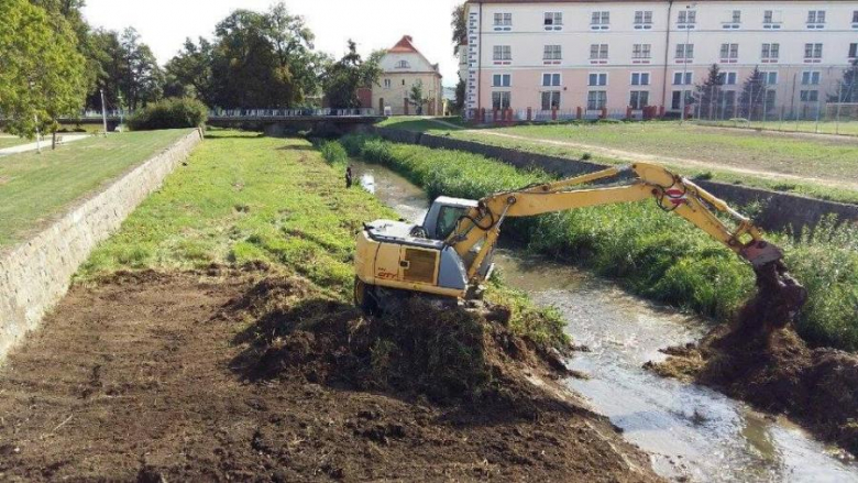 Udrożnianie koryta Budzówki przepływającej przez Kamieniec Ząbkowicki