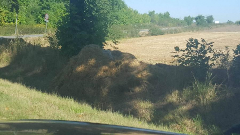 Spłonął jeden z witaczy zapraszający na dożynki do Jaworka