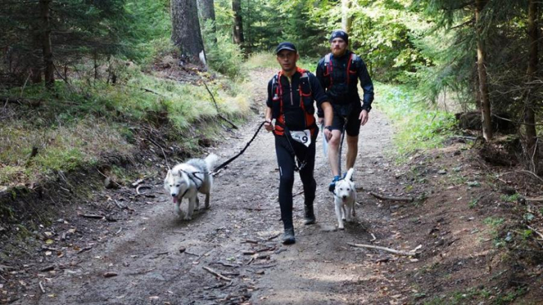 Finał Pucharu Polski w Dogtrekkingu - Złoty Stok 2016